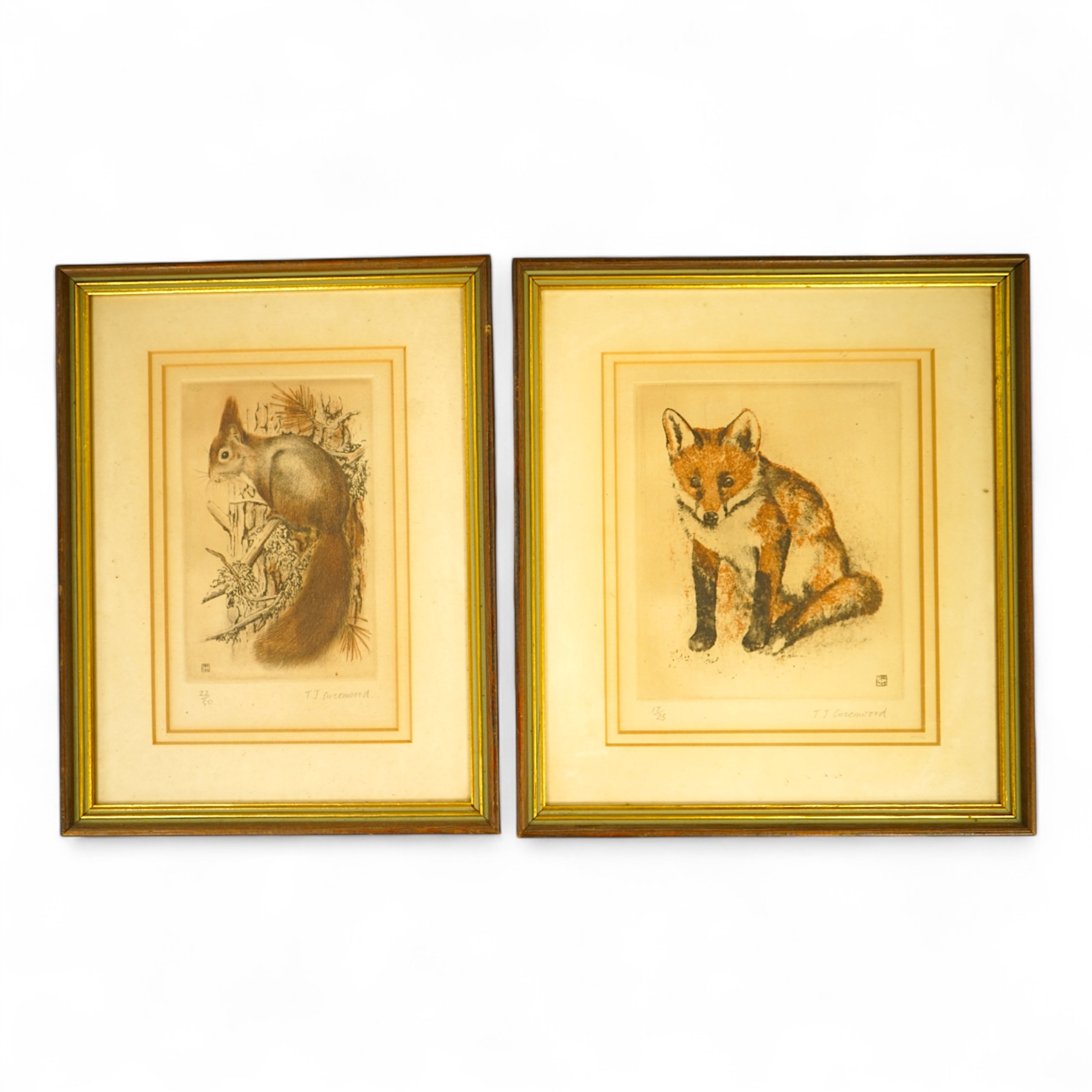 Timothy J. Greenwood (b.1947), Studies of a fox and squirrel, signed in pencil, two limited edition drypoint etchings, 23 x 18cm